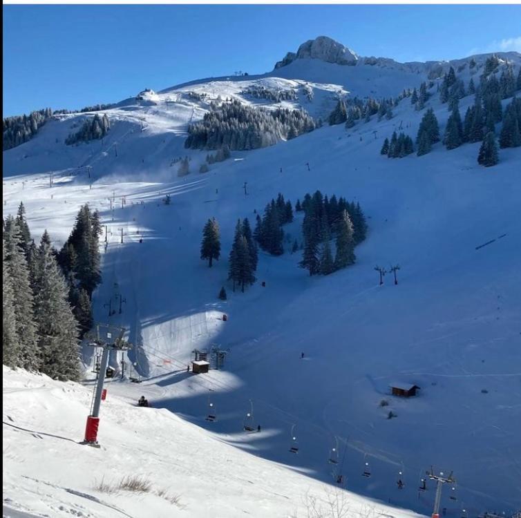 Igloo Ski In Ski Out Thollon-les-Memises Exterior foto