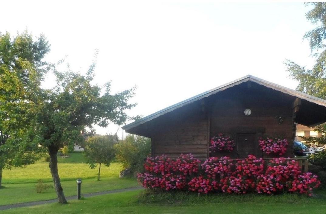 Igloo Ski In Ski Out Thollon-les-Memises Exterior foto